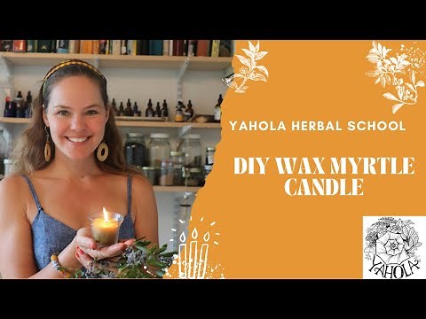 DIY BAYBERRY / WAX MYRTLE CANDLE