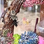 Plastic Jars 6 OZ, 48 Pcs Plastic Jars with Lids Round Wide Mouth Slime Containers with White Lids Empty Small Storage Jar for Travel, Home Kitchen Food, Arts Crafts