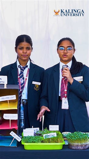 Young innovators once again proved the power of creative thinking at the Science Working Model Competition 4.0 held at Kalinga University. Among the standout participants, the talented students of Krishna Public School International, Naya Raipur, impressed everyone with their remarkable project titled “Grow Your Microgreens & Incorporate Them in Your Daily Diet.” Their model showcased a sustainable, nutrition-focused concept designed to encourage the cultivation of fresh microgreens using simple