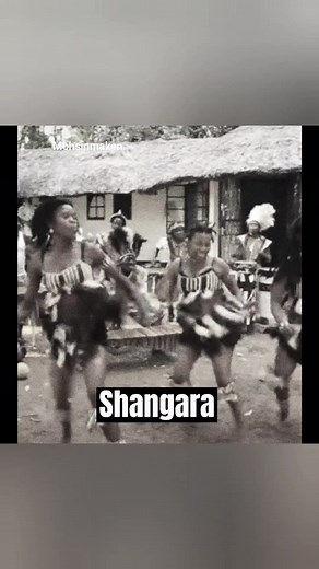 Dance occupies a crucial place in Zimbabwean culture. There are about 12 prominent traditional dances in Zimbabwe, namely Shangara, Mbira dance, Dinhe, Mbakumba, Muchongoyo, Jerusarema, Mhande, Isitschikitsha, Amabhiza, Ingquza, Chinyobera and Ngungu. The Jerusarema dance and the Muchongoyo are widely regarded as the most important and distinctive dances of Zimbabwe. #zimbabwe #africanreels #africanculturematters #africandance #travelafrica #africarising #blessedandblack