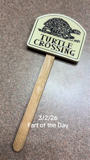 Do turtles fart? I guess if they poop, they must fart. #fart #fyp #viral #randomthings #turtles
