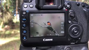 169K views · 50 shares | Are you a passionate bird photographer?...
