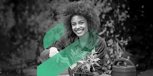 Straumann® Emdogain® FL