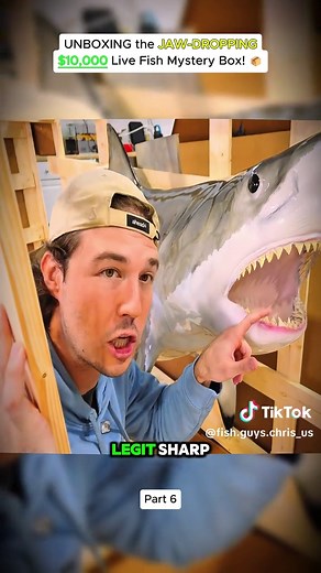 UNBOXING the JAW-DROPPING $10,000 Live Fish Mystery Box! Part 6 #thefishguys #fishing #aquarium #fish #Vlog