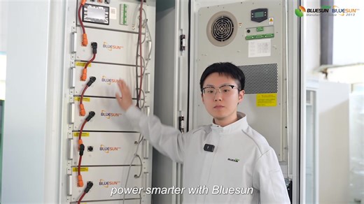Bluesun's 30kw all in one energy storage system | Bluesun Solar