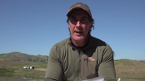 2K views · 84 reactions | Having some issues with your rescue dog? House breaking, training, behavior? Check out this video. For more online dog training, check: https://robertcabral.com/training/fb | Robert Cabral | Facebook