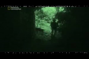 A look inside North Korea.