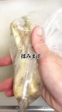 〜島らっきょうの塩漬け方法〜