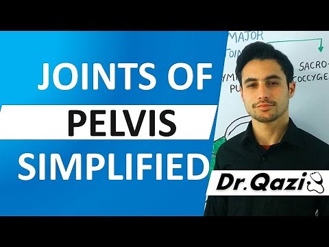 Joints of Pelvis | Pelvic Joints | Ligaments of Pelvis