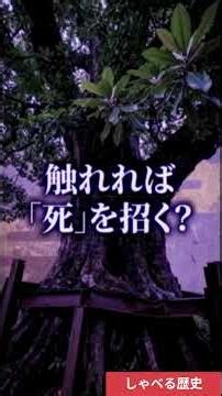【閲覧注意】本当に人が死んだ木――“ホウの木”の恐ろしい真相 #しゃべる歴史#都市伝説 #心霊 #閲覧注意 #ミステリー