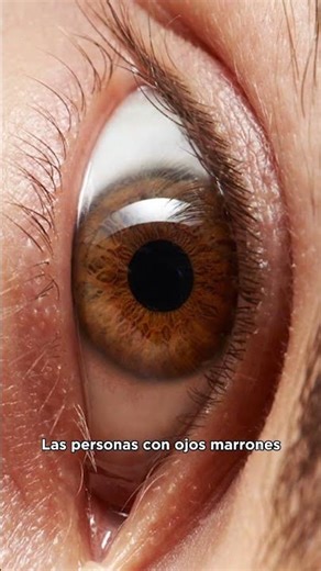 👁️ Ojo Bajo El Microscopio🔬