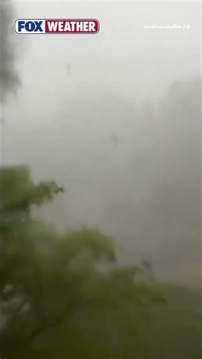 Look: Severe Storms Unleash Damaging Winds, Intense Hail, Uprooting Trees In Virginia