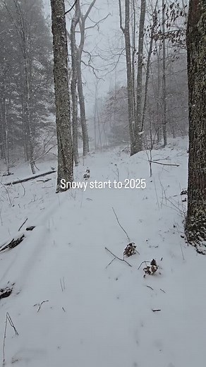 Cheers to a snowy day in Grayson County. #winterhiking #snowday #exploregrayson #appalachia #graysonhighlands #visitvirginia #loveva #newyearhike | Grayson County VA Tourism