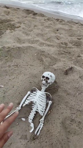Your father dug this up from under the sand at sea and wants to take it home. #shorts