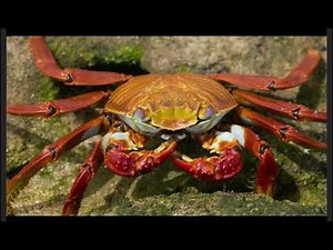 Oxford discover 1 2nd edition. Big question 3 (opener- page 46)