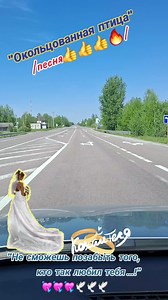 Animated Bride on a Serene Road Journey