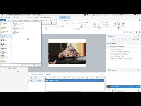 Things You Can Export from Articulate Storyline