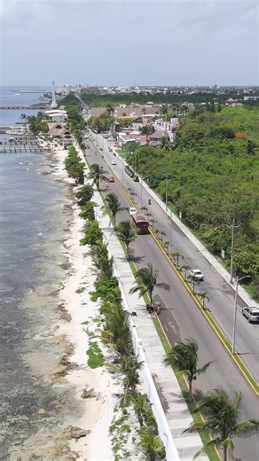 The easiest and most colorful way to discover Cozumel 🚋🌴 Enjoy island history, local culture, iconic landmarks, and ocean views all in one smooth ride. #CozumelTrolleyTour #ExploreCozumel #IslandCulture #CruiseExcursions #CozumelLife 📸✨ | The Cozumel Trolley Tour