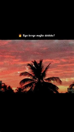 Bargad || Surf || Arpit Bala 🫶 #love #song #lovesong #lyrics #music #viral #viralshorts #youtube