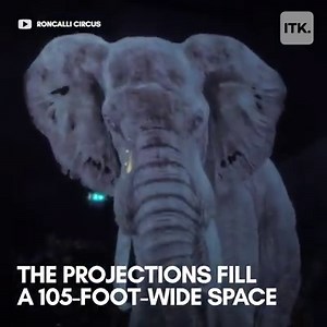 171K views · 43 reactions | This circus is putting an end to animal cruelty by using 3D holograms instead of real animals  | AOL | Facebook