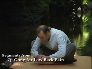 Qi Gong for Low Back Pain with Lee Holden