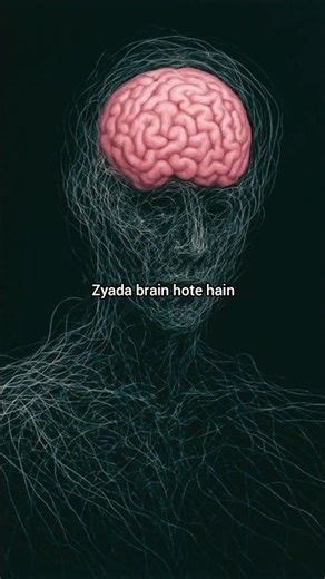 kon se prani ke pass sabse jyada dimand hote hai