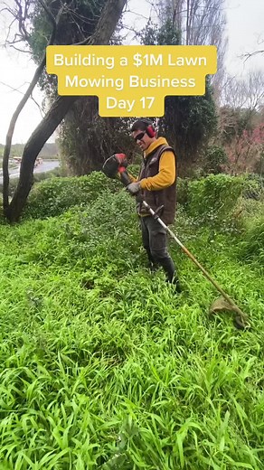 Growing a Successful Lawn Mowing Business in New Zealand