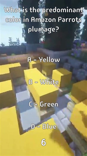 What is the predominant color in Amazon Parrots plumage?