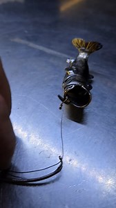 Wacky rig bass 🎣 | TiggerWelding