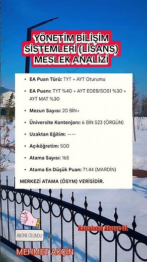 YÖNETİM BİLİŞİM SİSTEMLERİ (LİSANS) MESLEK ANALİZİ #2026#bilişimteknolojileri#meslekseçimi#shorts