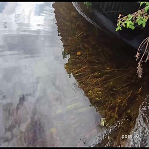 Part 2 Unclogging, Improving Flow Conditions On A Massive Culvert Pipe | Post 10