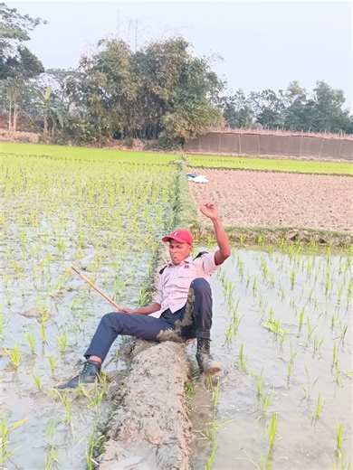 Hasir: Hilarious Moments Captured on Video