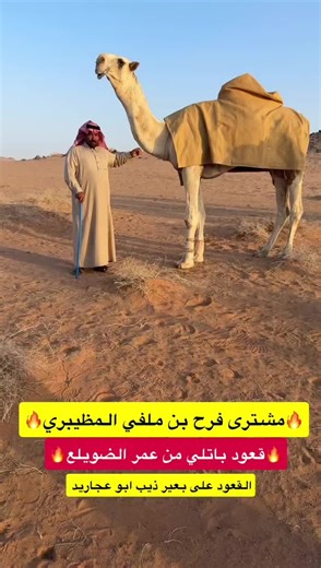 قعود باتلي المظيبري: رحلة شرائية فريدة