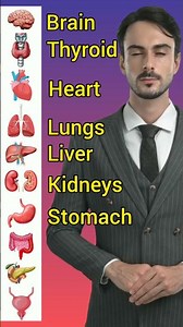 Vital Organs of the Human Body