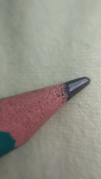 Découverte fascinante avec le microscope