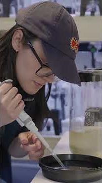 From near extinction: How Australia is restoring its shellfish reefs