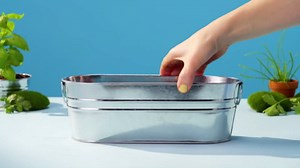 BUZZY Seeds Margarita and Mojito Windowsill Mini Garden Grow Kit, Herb Starter Set with Mint, Lime Basil and Lavender Seeds, Grow Your Own Herbs Indoors, Gardening Gift, Holiday Present