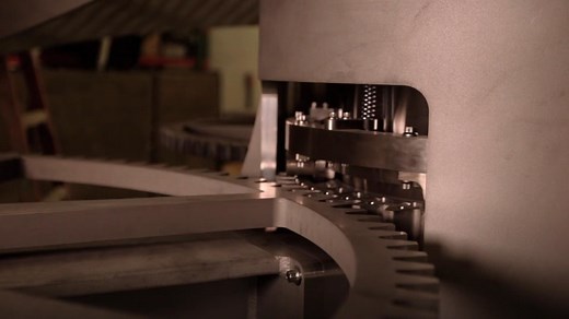 What will the world look like in 10,000 years?