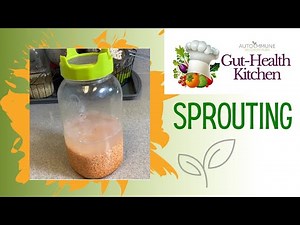 Sprouting Process