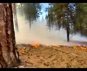 U.S. Forest Service-Modoc National Forest on Reels | Facebook