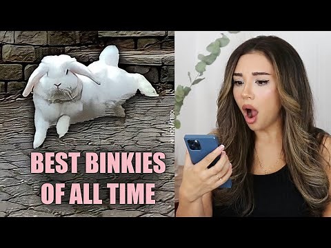 The 10 Best BUNNY BINKIES of ALL TIME