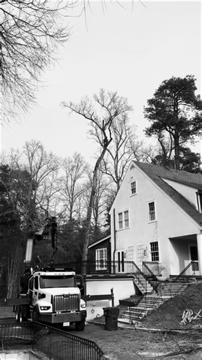 First reel for 2026 🤘 Removal of a large tulip poplar with using our grapple crane today in Richmond 🌳🪵 #commonwealthtreecare #arborist #grapplecrane #treeremoval #treecareprofessionals | Commonwealth Tree Care, LLC.