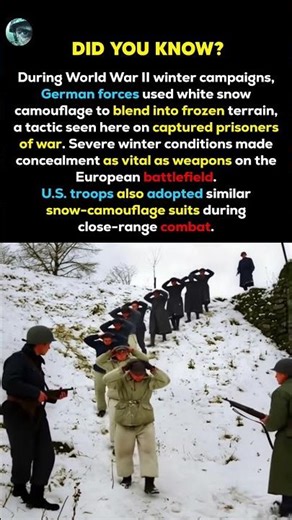 Why Germany’s Snow Camouflage Became Crucial in WWII Europe #shorts