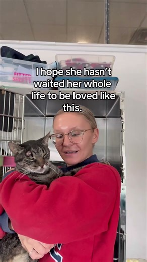 Subscribe and donate to support our shelter and rescues