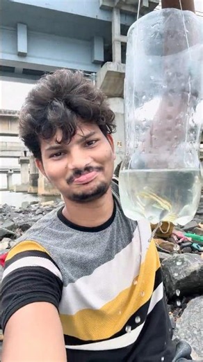 water bottle fishing | telugu fishing video | maida bottle food| mullet fish catching. #fishing
