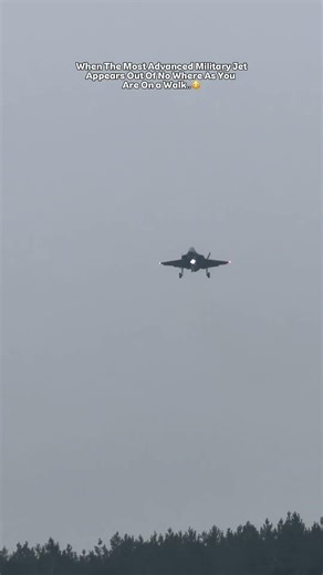 I Was On A Walk and The Most Advanced Military Jet Buzzed Me..😳