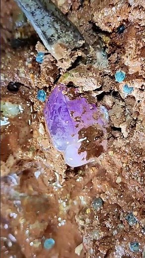 Rainbow Beach's Crystal Secrets, but beneath the sand lies a secret world of crystals.
