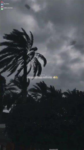 Mile_jab_se_tum_mujhko 🫂🍁 hindi short #musiclovers #lyrics #tamil