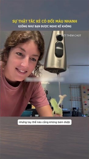 Do geckos change color as quickly as you've heard? #shorts