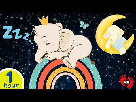 Baby Sensory Lullabies | Elephant Animation for Relaxing Sleep
